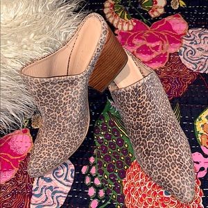 Leopard Print Mule [sz-8]